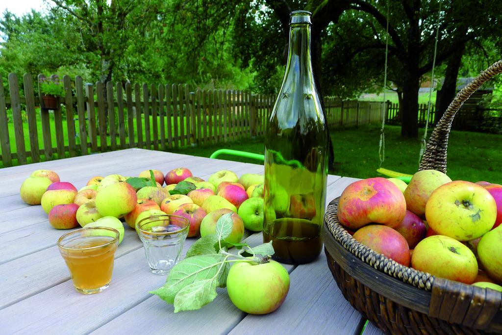 Un Gite Dans La Vallee Obersteinbach Ngoại thất bức ảnh