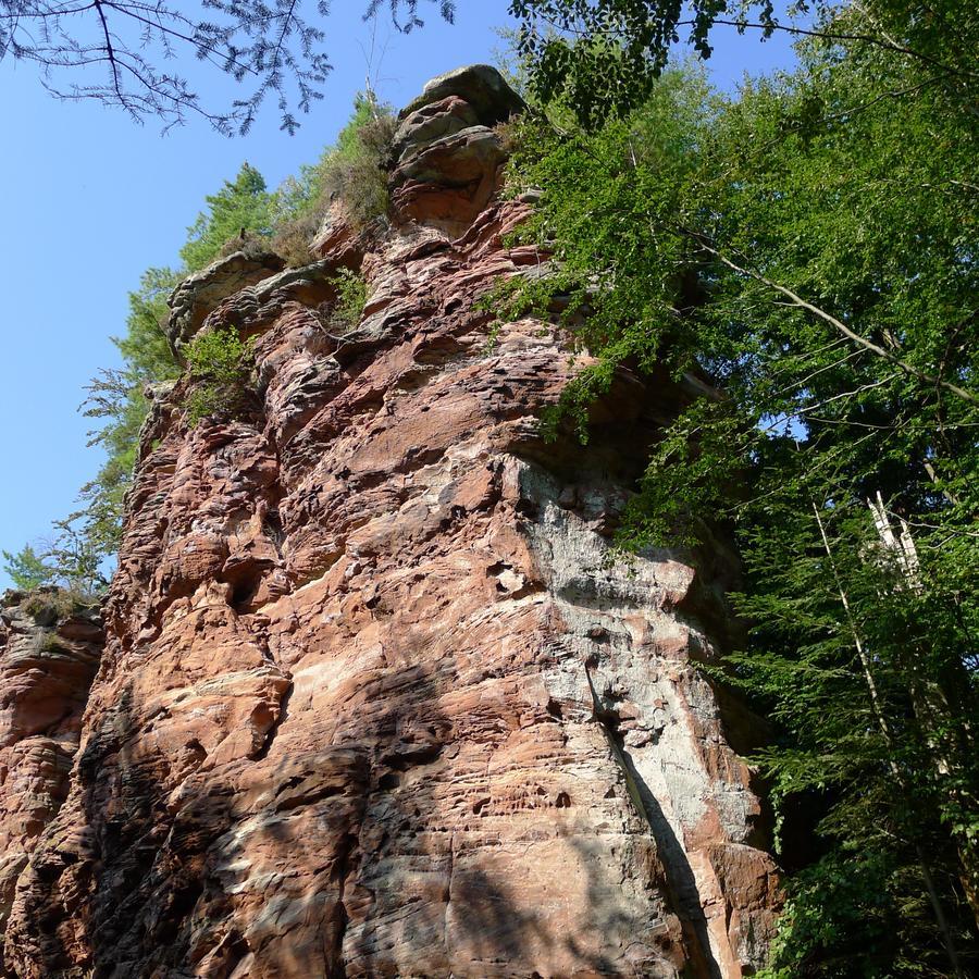 Un Gite Dans La Vallee Obersteinbach Ngoại thất bức ảnh