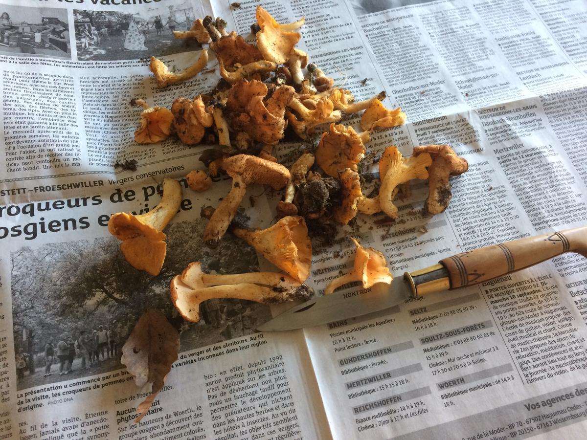 Un Gite Dans La Vallee Obersteinbach Ngoại thất bức ảnh